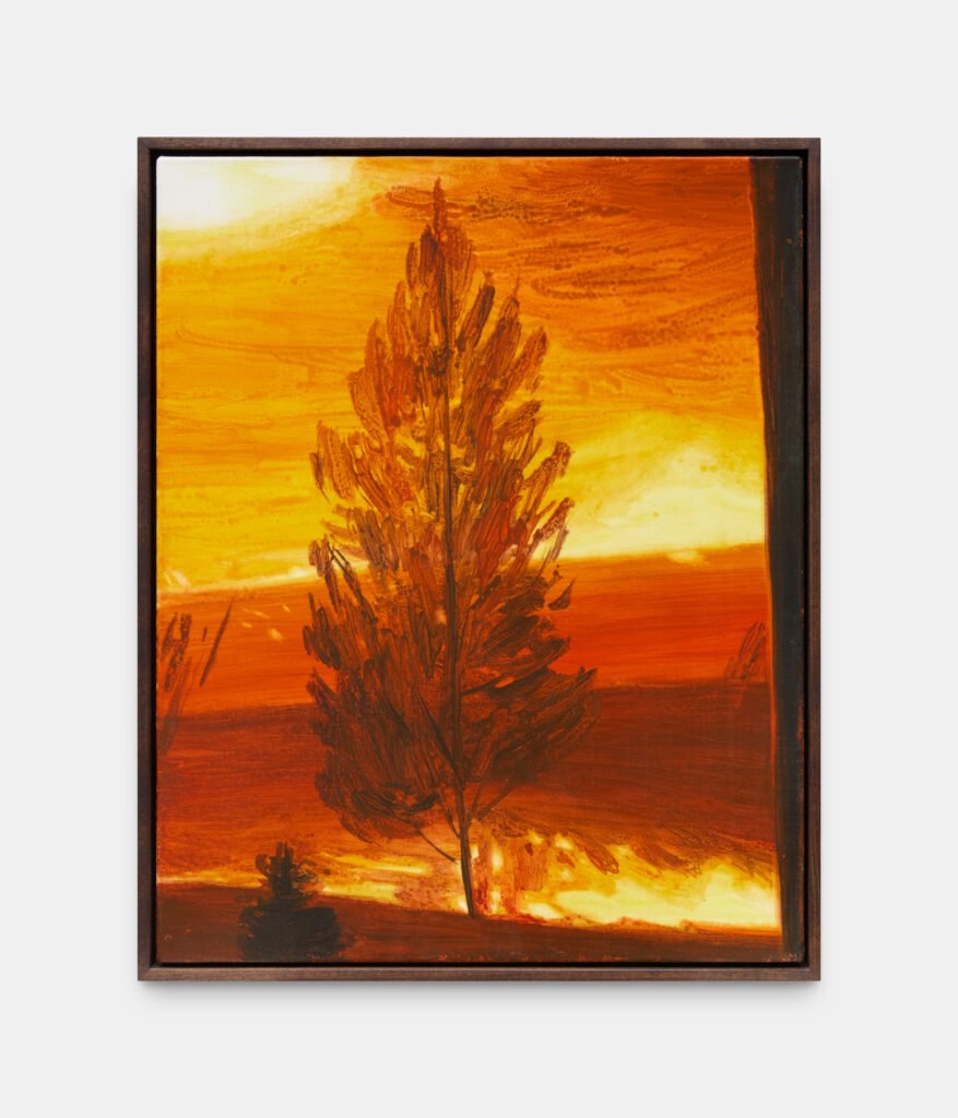 Wildfire Landscape, 2024
Watercolour on canvas
51 x 41 cm
20.1 x 16.1 in
Framed: 56 x 46 cm (22 x 18.1 in)
