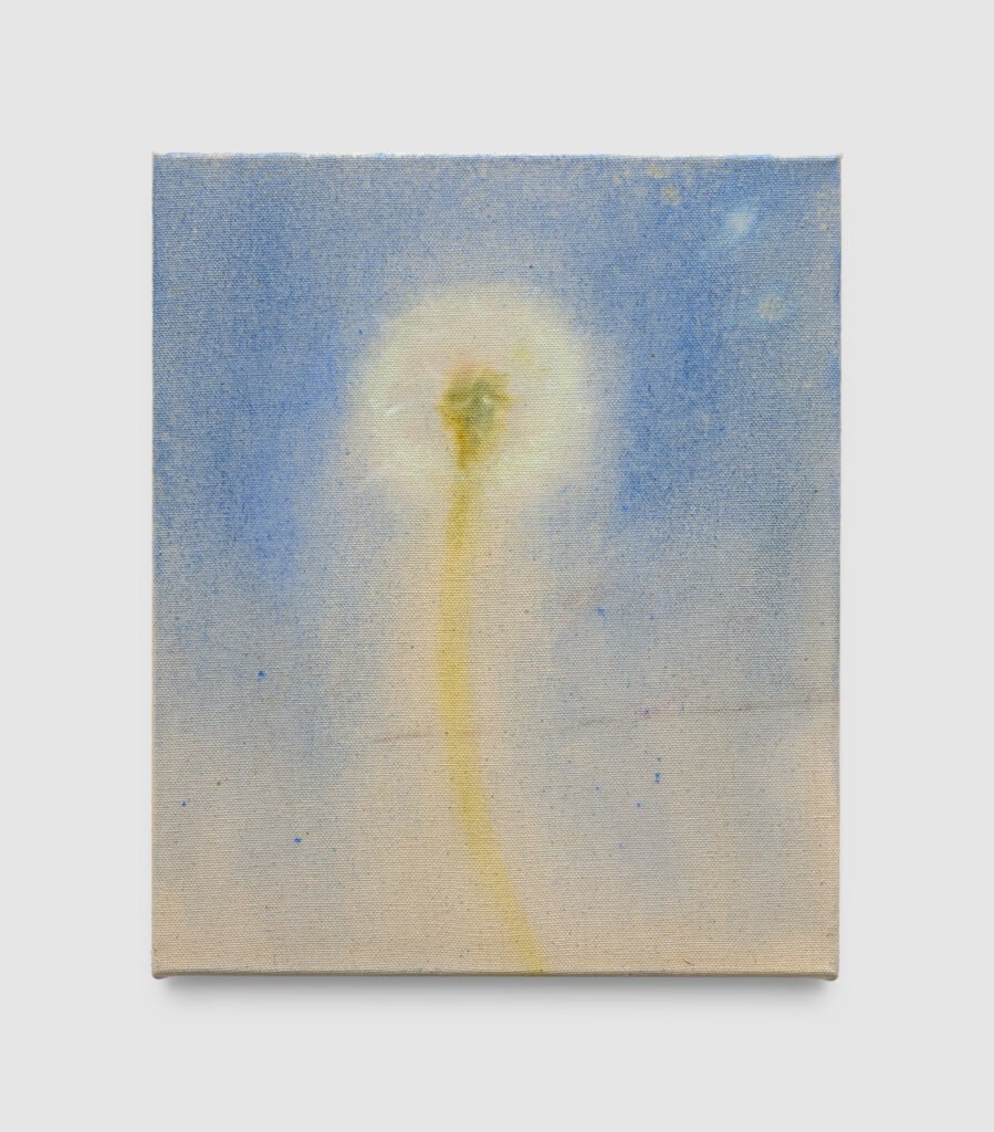Dandelion daydreaming, 2026
Oil on canvas
30 x 25 cm
11 ¾ x 9 ¾ in